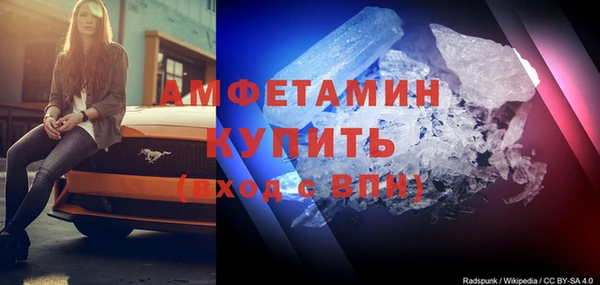 дживик Ельня