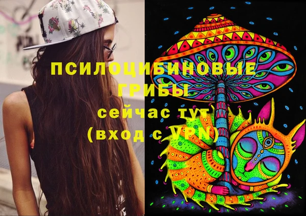 каннабис Алзамай